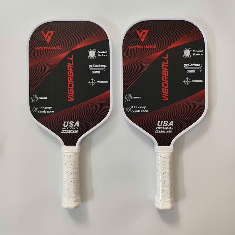 anh-vot-pickleball-vigorball.